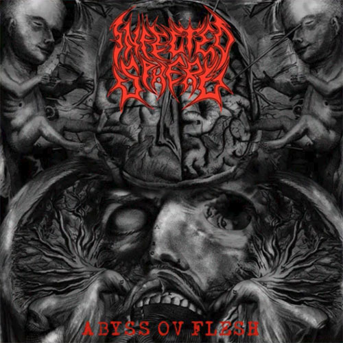 INFECTED SPHERE – Abyss Ov Flesh [9,0/10]